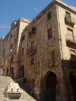 DSC08327.JPG